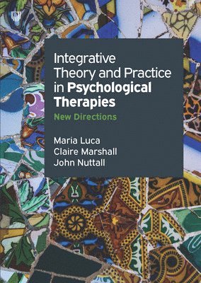 Integrative Theory And Practice In Psychological Therapies :New Directions 1