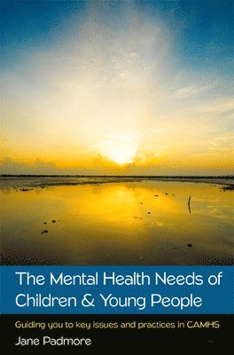 bokomslag The Mental Health Needs of Children & Young People: Guiding you to key issues and practices in CAMHS