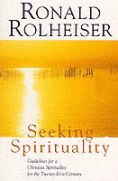 bokomslag Seeking Spirituality