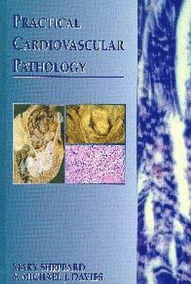 bokomslag Practical Cardiovascular Pathology