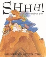 bokomslag Shhh! Lift-the-Flap Book