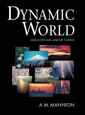 bokomslag Dynamic World