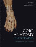 bokomslag Core Anatomy - Illustrated