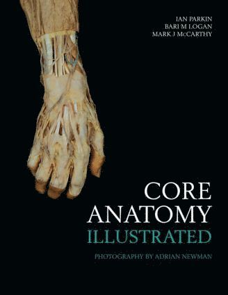 bokomslag Core Anatomy - Illustrated