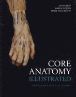 Ian Parkin, Bari Logan, Mark McCarthy - Core Anatomy - Illustrated, Häftad