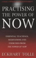 bokomslag Practising The Power Of Now: Meditations, Exercises and Core Teachings from The Power of Now