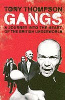 bokomslag Gangs