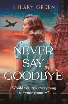 Never Say Goodbye 1