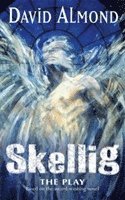 David Almond - Skellig The Play, Häftad