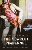 Scarlet Pimpernel