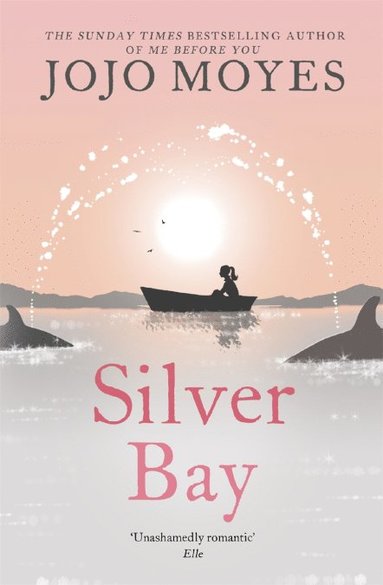 bokomslag Silver Bay