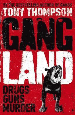 Gang Land 1