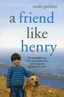 Friend Like Henry 1