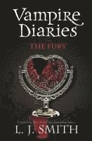 bokomslag Vampire Diaries: The Fury