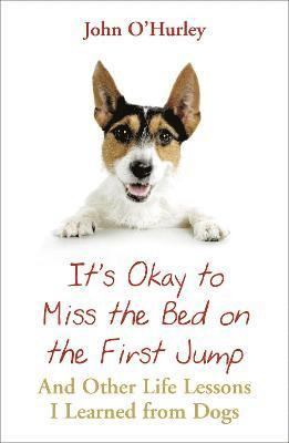 bokomslag It's OK to Miss the Bed on the First Jump