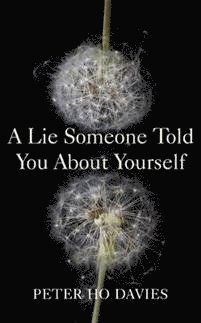 A Lie Someone Told You About Yourself 1