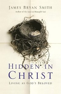 bokomslag Hidden in Christ
