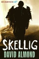 David Almond - Skellig, Häftad