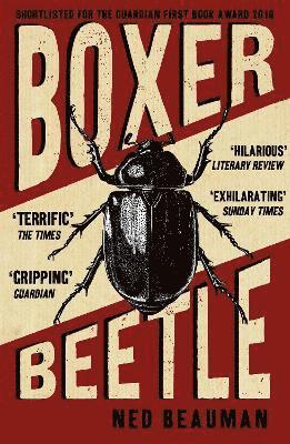 bokomslag Boxer, Beetle