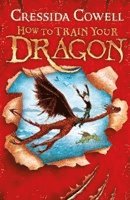 bokomslag How to train your dragon - book 1