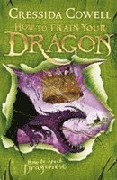 Cressida Cowell - How to Train Your Dragon: How To Speak Dragonese, Häftad