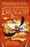 bokomslag How to Train Your Dragon: How to Twist a Dragon's Tale