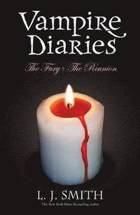 bokomslag Vampire Diaries Vol. 2 (Books 3 & 4)