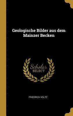 Geologische Bilder Aus Dem Mainzer Becken 1