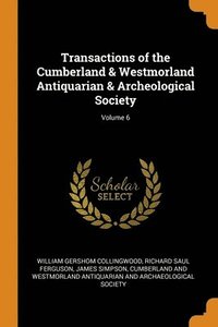 bokomslag Transactions of the Cumberland & Westmorland Antiquarian & Archeological Society; Volume 6