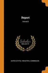 bokomslag Report; Volume 6