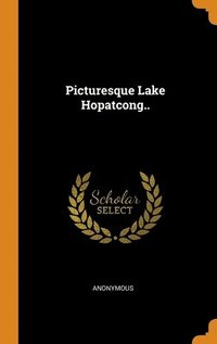 bokomslag Picturesque Lake Hopatcong..