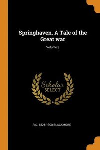 bokomslag Springhaven. A Tale of the Great war; Volume 3