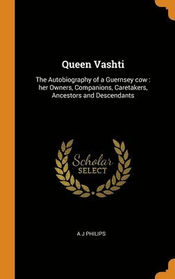 bokomslag Queen Vashti