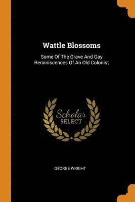 Wattle Blossoms 1