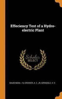 bokomslag Effeciency Test of a Hydro-electric Plant
