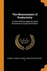bokomslag The Measurement of Productivity