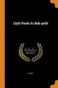 bokomslag Llyfr Pawb Ar Bob-peth