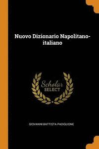 bokomslag Nuovo Dizionario Napolitano-italiano
