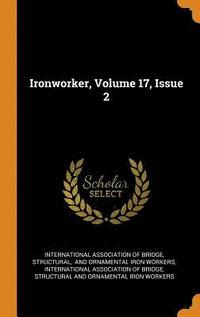 bokomslag Ironworker, Volume 17, Issue 2