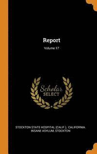 bokomslag Report; Volume 17
