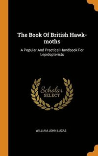 bokomslag The Book Of British Hawk-moths