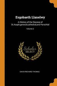 bokomslag Esgobaeth Llanelwy