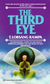 bokomslag Third Eye