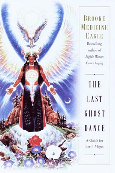 bokomslag The Last Ghost Dance