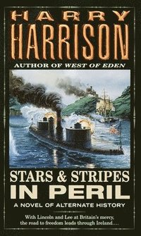 bokomslag Stars and Stripes in Peril