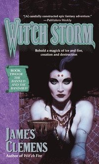 bokomslag Wit'ch Storm