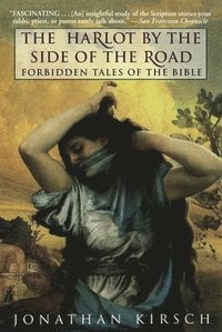 bokomslag The Harlot by the Side of the Road: Forbidden Tales of the Bible