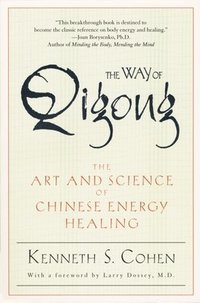 bokomslag The Way of Qigong