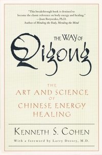 bokomslag The Way of Qigong: The Art and Science of Chinese Energy Healing
