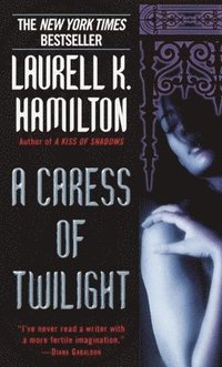 bokomslag A Caress of Twilight